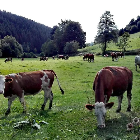 別荘 Maag, 102qm *