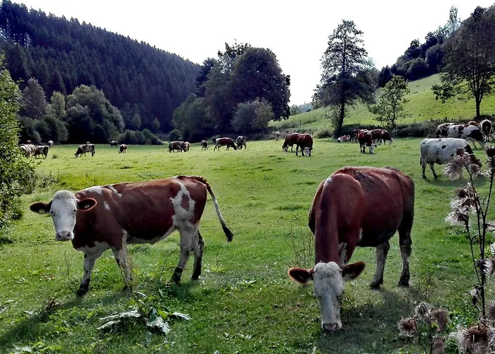 Prázdninový dům Maag, 102qm *